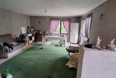 Casă cu 4 camere în Mihai Bravu - 1