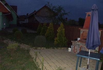 Casa de vanzare Albestii-Arges - 14