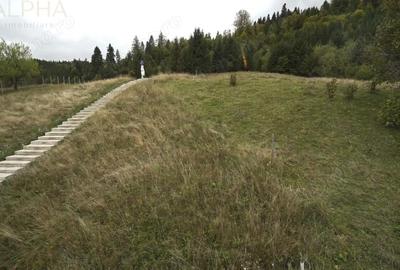 Spațiu comercial, de 390 mp, în Colibița - 18