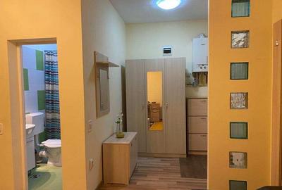 Apartament 1 camera Marasti-Slatina - 2