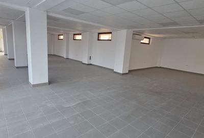 Spațiu comercial, de 670 mp, în Iosefin
