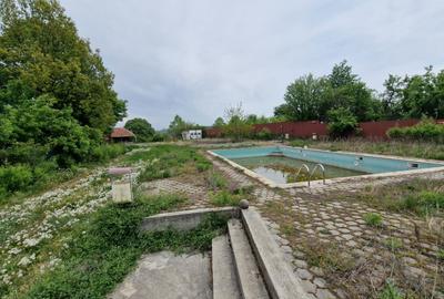 Spațiu comercial, în Grui - 4