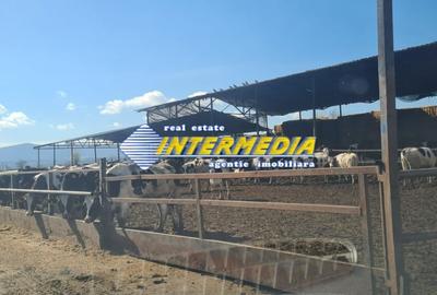 Casă individuală cu 20 camere cu Teren 35000 Mp în Pianu - 2