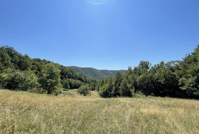 Teren de 45809 mp, în Mădrigești - 4