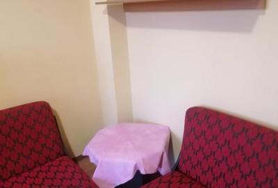 Apartament cu 2 camere semidecomandat în Central - 2