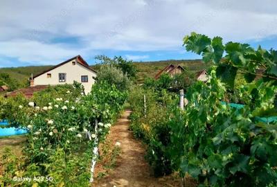 Casa de vanzare Minis - 3