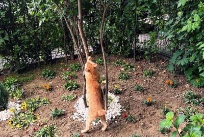 Apartament cu 2 camere, mobilat în Floreasca