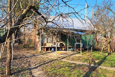 Casă cu 1 camere în Niuved - 1