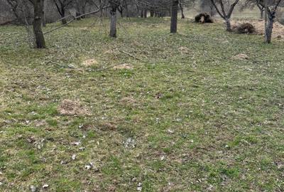 Spațiu comercial, în Bran - 1