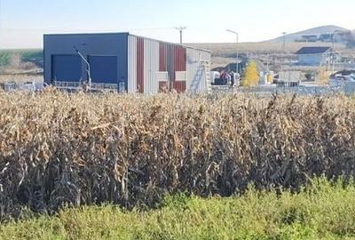 Teren de 1630 mp, în Luizi-Călugăra - 6