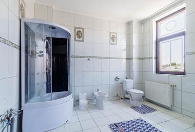 Locuinta spectaculoasa cu potential de business – 730 mp, sector 2 - 17