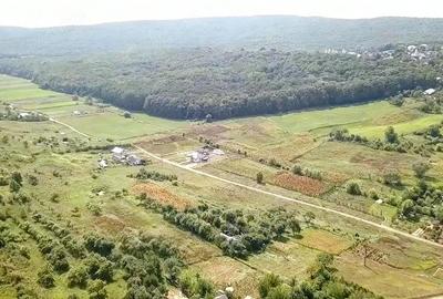 Teren de 2700 mp, în Curtești - 3