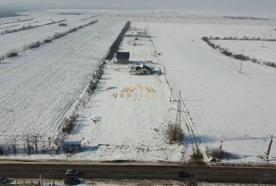 Teren 441, 100 m de la drumul principal, ultimul lot, Vidra - 2