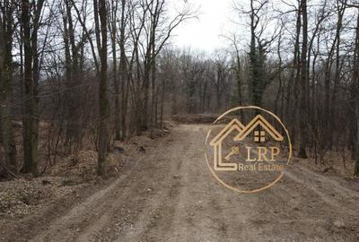 Dragomiresti Vale-Padure-teren intravilan, certificat urbanism 2025 - 16