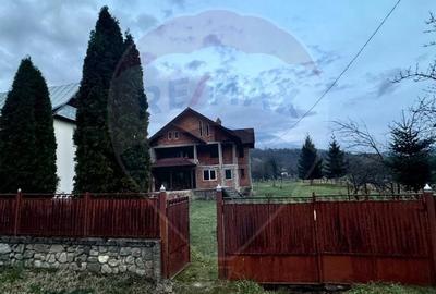 Casa de vis Valea Silistii - spatiu generos, natura si liniste deplina - 16