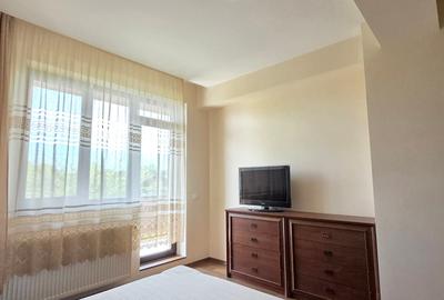 Apartament cu 2 camere decomandat, mobilat în Iancu Nicolae - 8