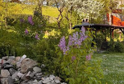 Casa de vanzare Azuga - 5