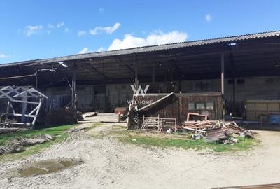 Spatiu industrial-baza depozitare cu cale ferata-Arpasu de Jos - Sibiu - 9