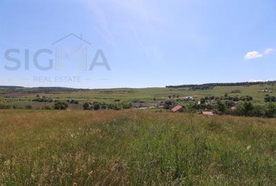 Teren Construcții intravilan de 3834 mp, în Băbuțiu - 2