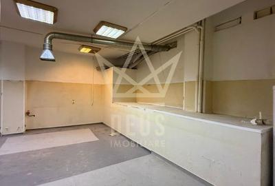 Spațiu comercial, de 290 mp, în Plopilor - 7