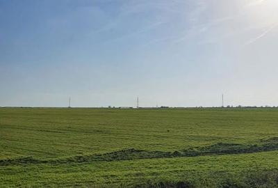 Spațiu comercial, în Agigea - 2