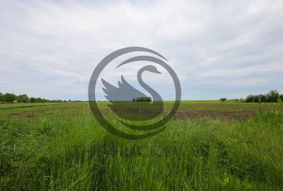 Teren de vanzare in Manesti, Prahova | 18.000 mp | Deschi... - 8