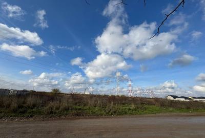 Teren Intravilan 5.303 mp .Dezvoltare Logistica, Industriala sau Rezidentiala A0 - 4