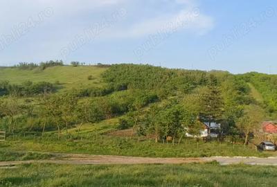 Vand casa cu teren 1 hectar - 7