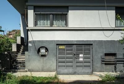 O vila cu prestanta, in Cismigiu - 39