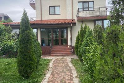 Berceni-Vila de arhitect, P+1+M, gradina 1200mp, - 10