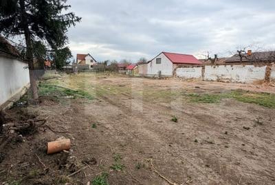 Casă individuală cu 5 camere cu Teren 1595 Mp în Hărman - 6