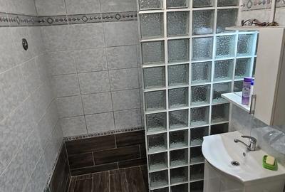 Piata Alba Iulia inchiriere 3 camere - 3