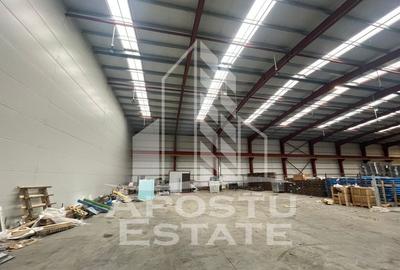 Hala 600 mp constructie noua Sacalaz - 1