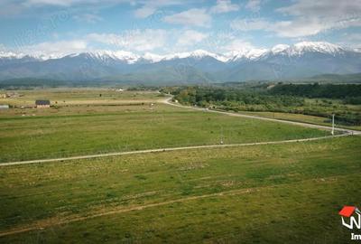 Teren superb zona Valea Avrigului - 5