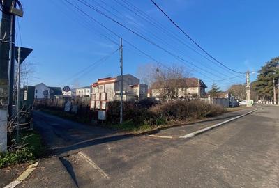REL4001089 Teren 828 mp vis-a-vis de lac - langa Calul Balan - 6