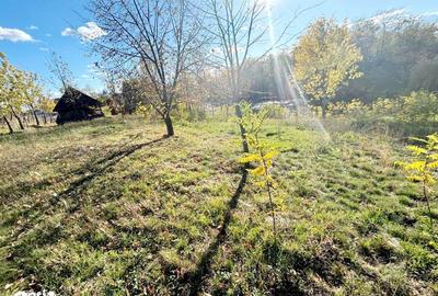 Teren de 5000 mp, în Albota - 2