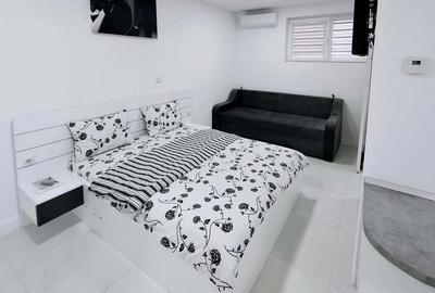 Casă cu 1 camere cu Teren 1216 Mp în Oncea - 3