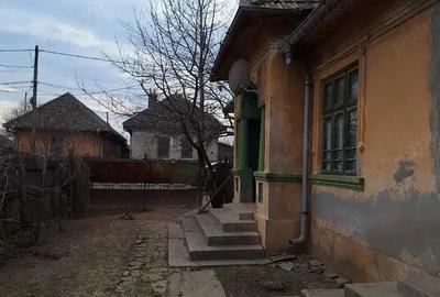 Vand casa in com.Poiana Mare,jud.Dolj - 5