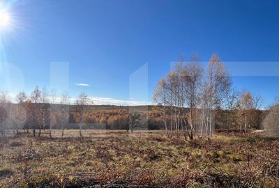 Teren construibil de vanzare, zona casele Micesti - 2