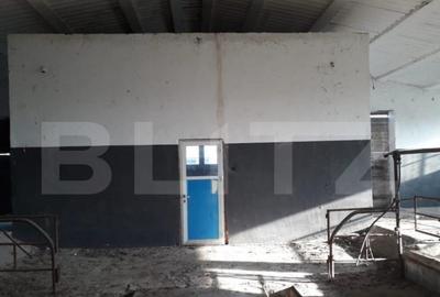 Teren de 950000 mp, în Central - 5