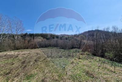 Teren Construcții intravilan de 9428 mp, în Podiș - 6