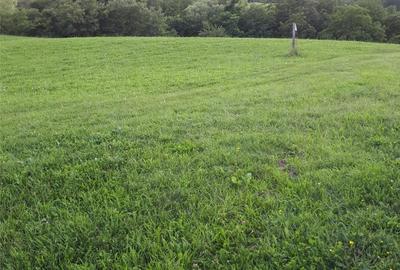 Teren de 4039 mp, în Borhanci - 3