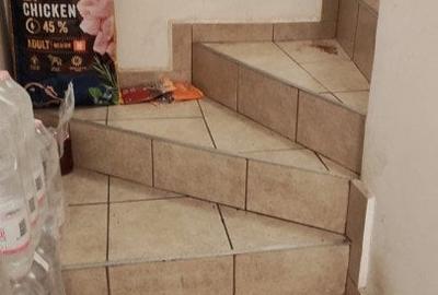 Casa dealuri Oradea - 20