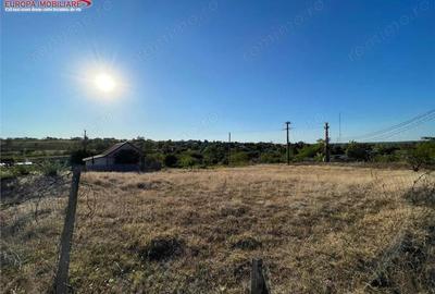 Teren intravilan de vanzare in localitatea Nufaru - 4