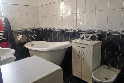 Casa de vanzare comuna Peciu Nou - 9