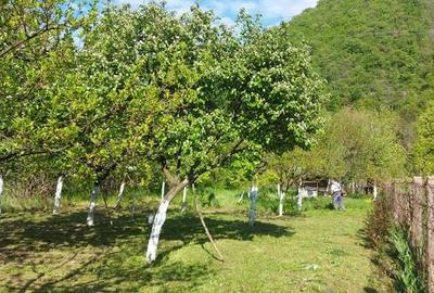 Teren de 1000 mp, în Central - 7