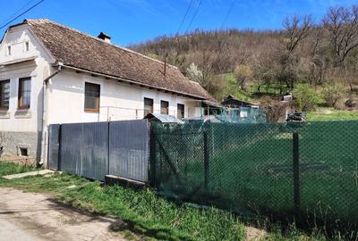 Casă cu 2 camere în Zagăr - 3