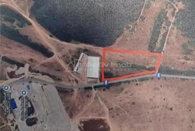 Teren de 10000 mp, în Sud - 3