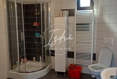 DOUA CASE DE VANZARE LA TALMACIU DOUA CASE DE VANZARE LA TALMACIU - 8