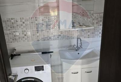 Casa noua + casa veche boiereasca renovabila - 3